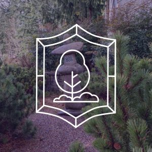 Thursday Garden Work Party